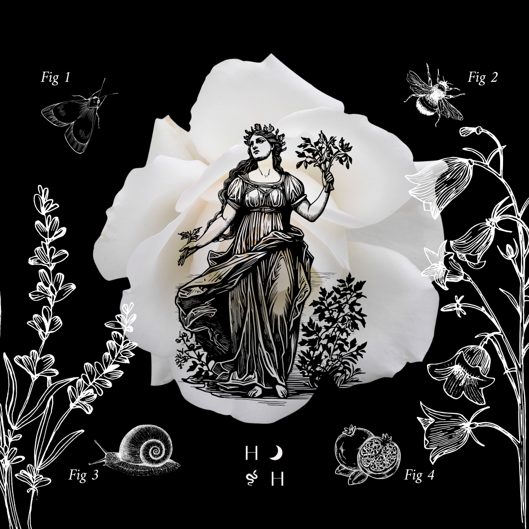 Haus of Hecate