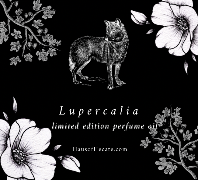 Lupercalia Perfume Oil 10ml  ‘Limited Edition’
