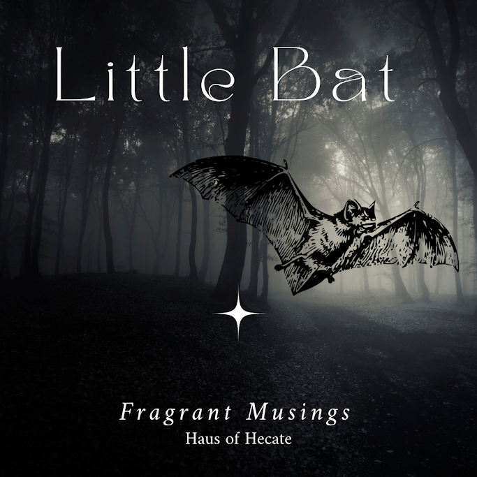 Ode to Little Bat & The Creatures of Night & Flight