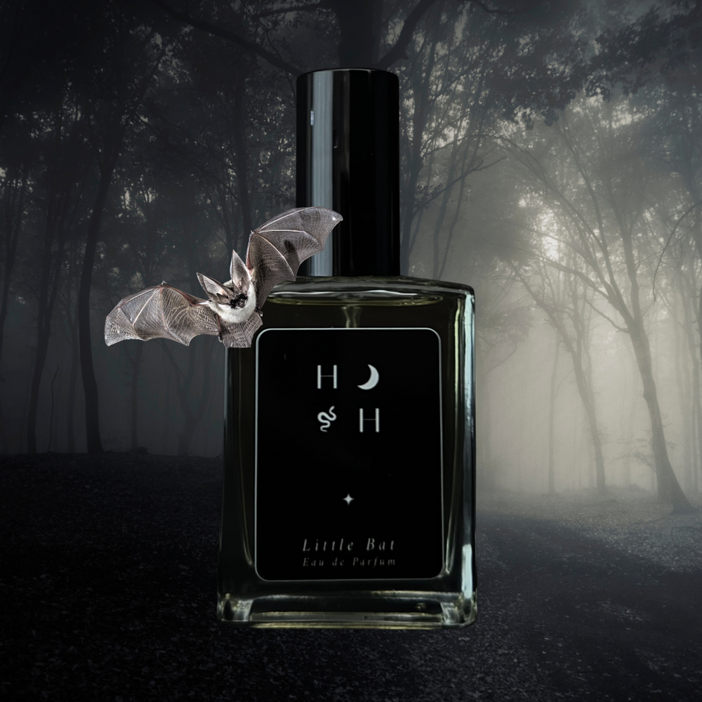 Little Bat Eau de Parfum